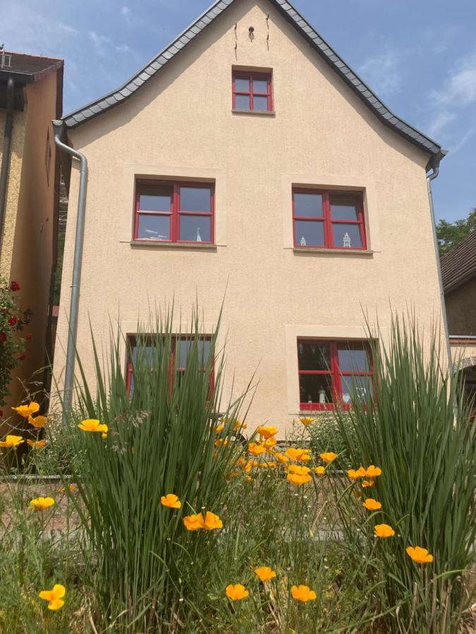 Radler Pension Wettin Екстер'єр фото